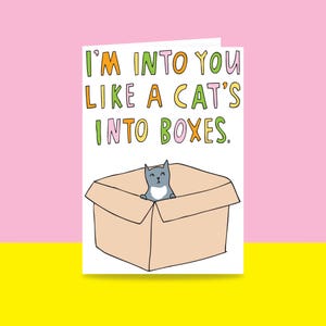 Greeting Card - I'm Into You Like A Cat's Into Boxes | Valentine's Day Card | Romantic Card