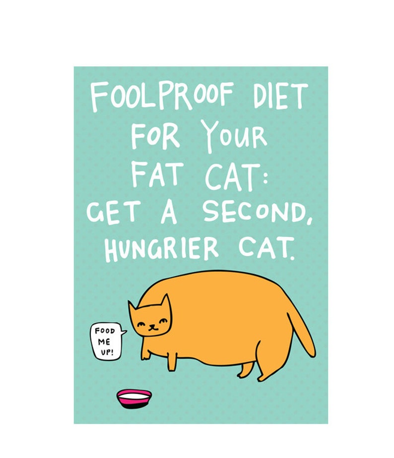 Greeting Card Foodproof Diet For Your Fat Cat image 2