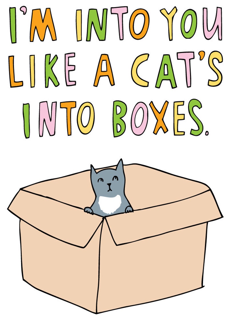 Greeting Card I'm Into You Like A Cat's Into Boxes Valentine's Day Card Romantic Card image 2