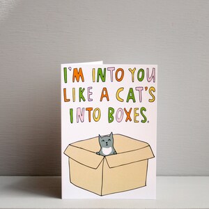 Greeting Card I'm Into You Like A Cat's Into Boxes Valentine's Day Card Romantic Card image 3