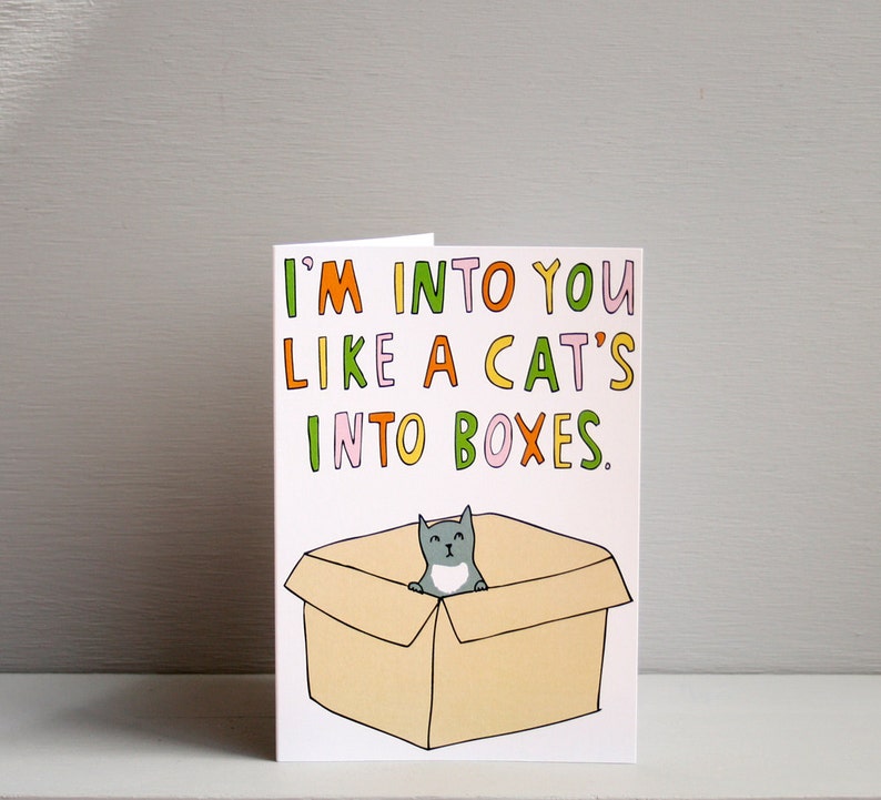 Greeting Card I'm Into You Like A Cat's Into Boxes Valentine's Day Card Romantic Card image 3