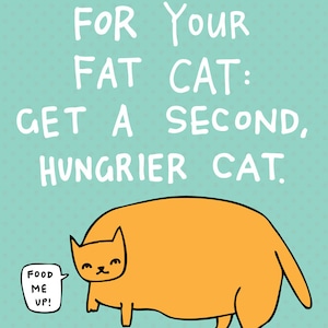 Greeting Card Foodproof Diet For Your Fat Cat image 3