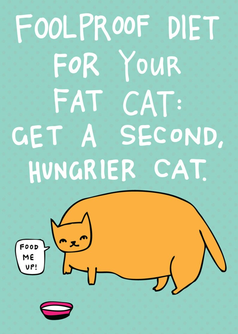 Greeting Card Foodproof Diet For Your Fat Cat image 3