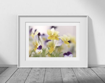 Photography Download, Flower Photos, Flower Photography, Yellow Wall Art, Yellow Pictures, Square Wall Art, Square Pictures, Square Photos