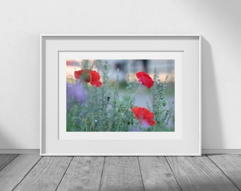 Photography Download, Wildflower Print, Wildflower Photography, Flowers, Flower Photography, Red Wall Art, Flower Printable, Photo Download