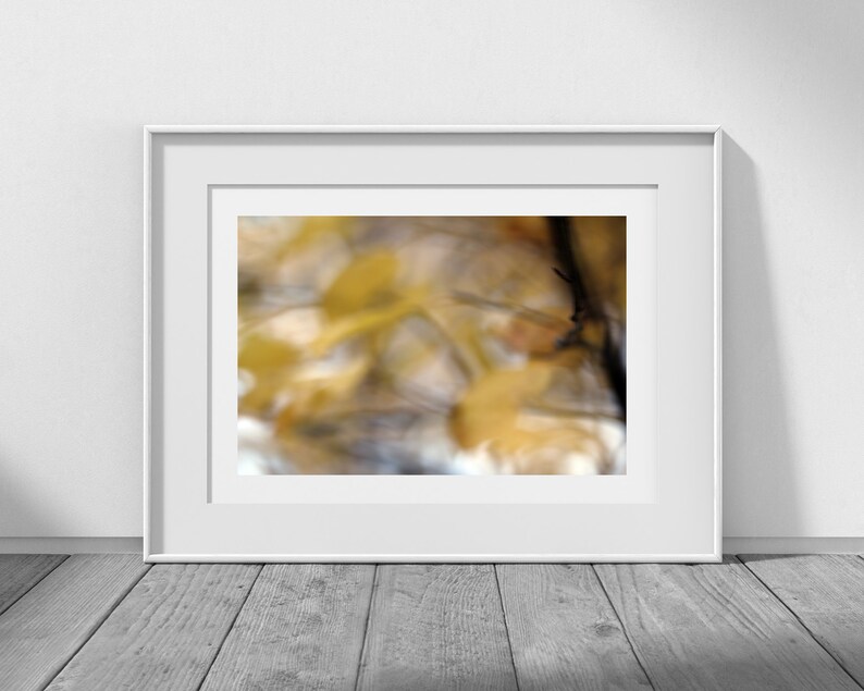 Nature Photography October Light Natural Decor Digital Download Canada Fall Decor Fall Photography Canadian Decor Fall Colours