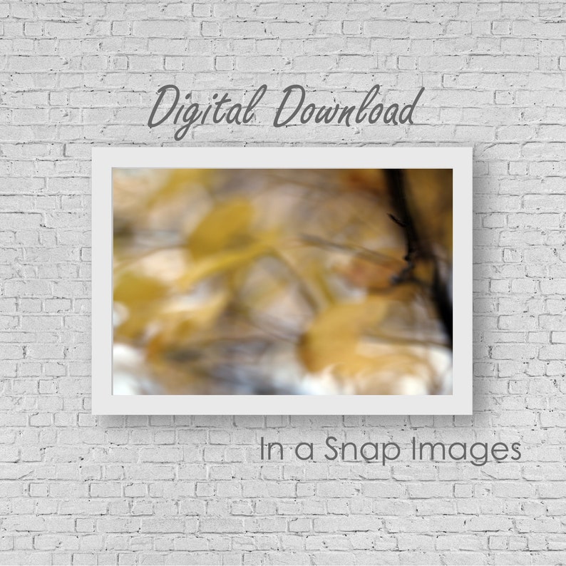 Nature Photography October Light Natural Decor Digital Download Canada Fall Decor Fall Photography Canadian Decor Fall Colours