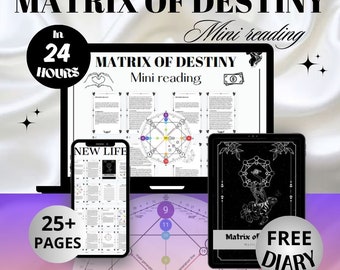 MATRIX DESTINY - Mini Lektüre | Numerologie in 24HR