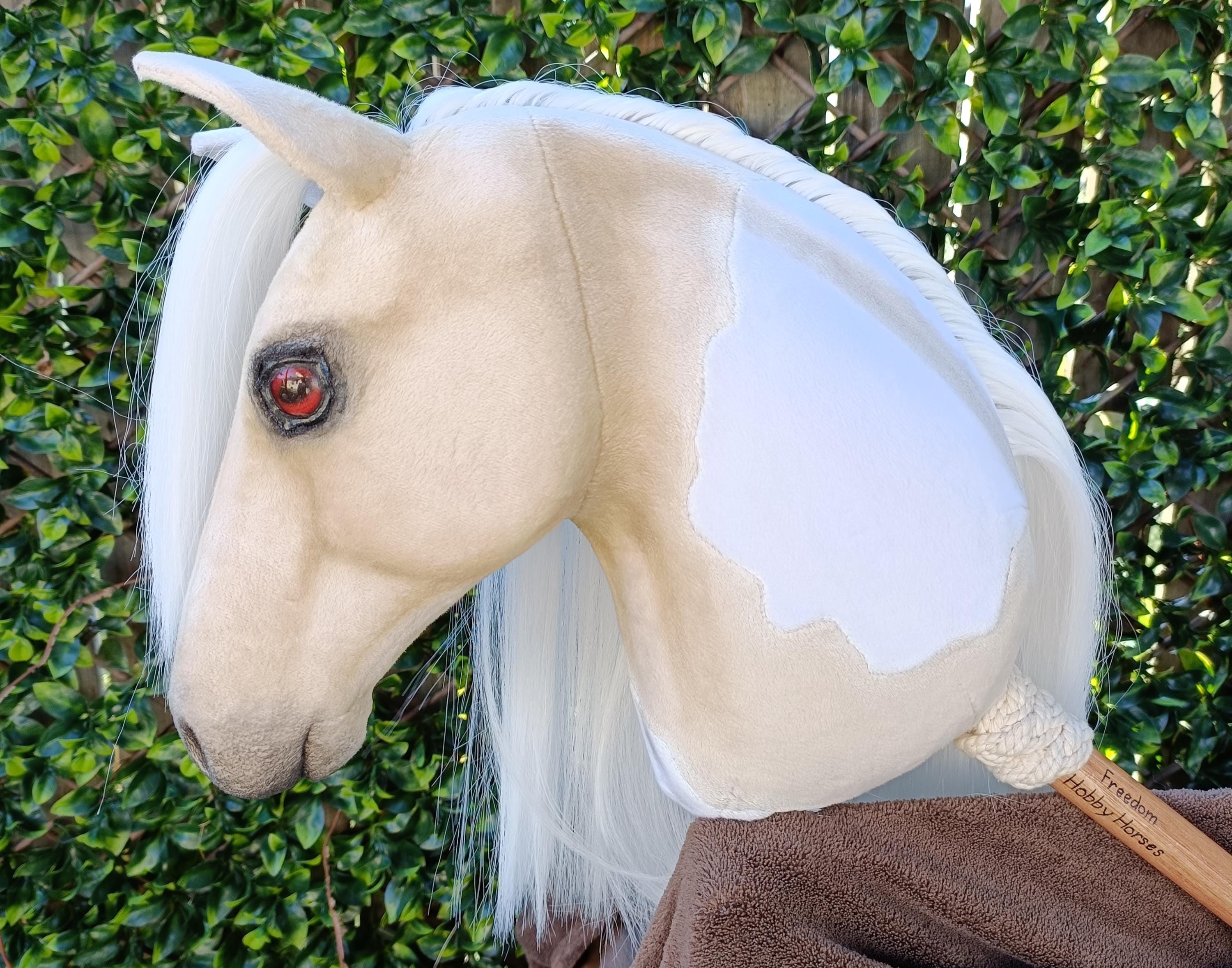 Pool Noodle Horses Australia