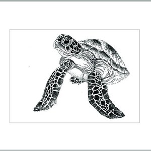 May include: Black and white illustration of a sea turtle. The turtle is depicted in a detailed, stippled style, with its patterned flippers extended. The artwork is framed in a white mat and a light gray frame.