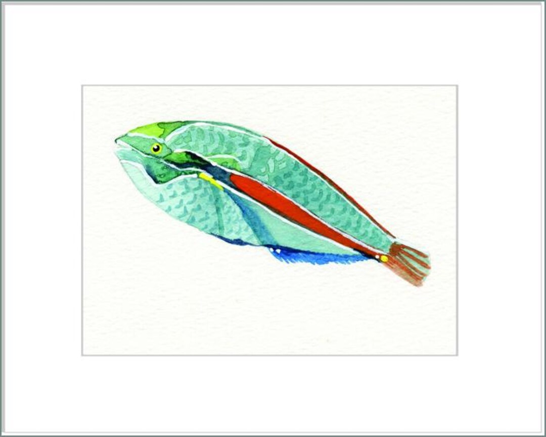 Balen Fish Belted Wrasse, Watercolor, Fish, Reef, Small, Green, Blue, Coral ...