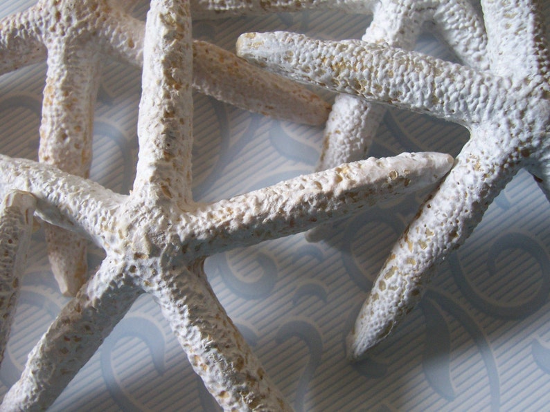 Set of Six for Weddings Arts and Crafts Faux Starfish SALE