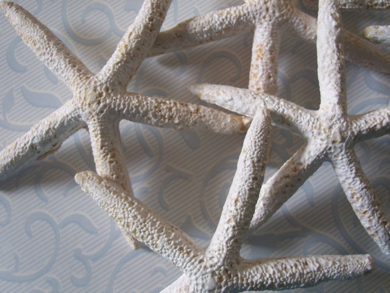 Set of Six for Weddings Arts and Crafts Faux Starfish SALE