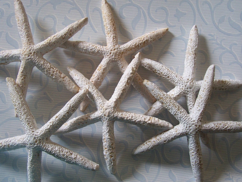 Set of Six for Weddings Arts and Crafts Faux Starfish SALE