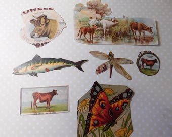 Vintage Paper Ephemera - Cows, Fish, Butterfly, Dragonfly