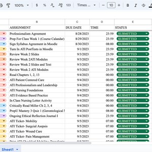 May include: A spreadsheet listing courses, assignments, due dates, times, status and notes. The spreadsheet is organised by course number and assignment name. The due dates are in the format DD/MM/YYYY. The times are in the format HH:MM. The status is either "SUBMITTED" or "WAITING FOR FEEDBACK". The notes column is empty.