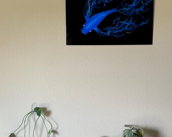 May include: A blue koi fish swimming through a black background with blue flames. The fish has a white belly and black eyes. The flames are stylized and abstract.