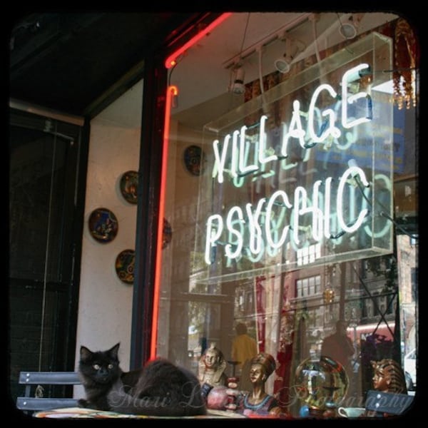 Schwarze Katze, New York City Shop Fenster Neon Sign Foto Print, Dorf Hellseher, NYC Fotografie