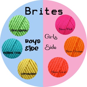 以下が含まれることがあります： 「Brites」という文字が上部に書かれた糸の色見本。左側は「Boys Side」、右側は「Girls Side」とラベル付けされています。左側の色はライムグリーン、明るいターコイズ、レモネード。右側の色はネオンピンク、ネオンオレンジ、ネオンコーラルです。