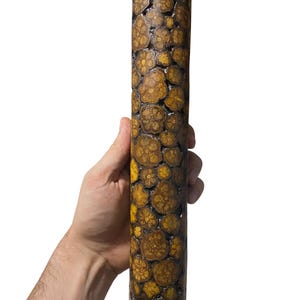 May include: A cylindrical wooden object featuring a mosaic-like surface composed of numerous small, circular cross-sections of branches. The wood displays varied shades of golden yellow and brown, with dark, recessed gaps between each circular piece.