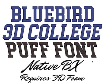 3D College Puff Native BX Font Digital Embroidery Design