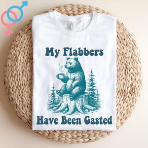 My Flabbers Have Been Gasted Sweatshirt, Funny Raccoon Shirt, Raccoon Graphic Long Sleeve T-Shirt, Funny Meme Hoodie, Vintage Retro Cartoon