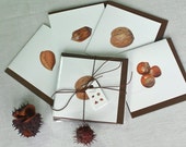 Christmas Cards 'Mixed Nuts', Pack of Eight