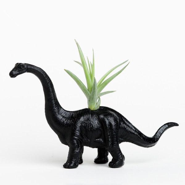 Small Dinosaur Planter with Air Plant Room Decor, College Dorm Geekery