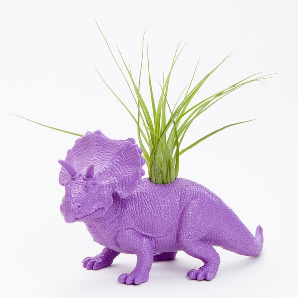 Purple Triceratops Dinosaur Planter with Air Plant Room Decor, College Dorm Ornament, Tillandsia Plants and Edibles, Plant Pot