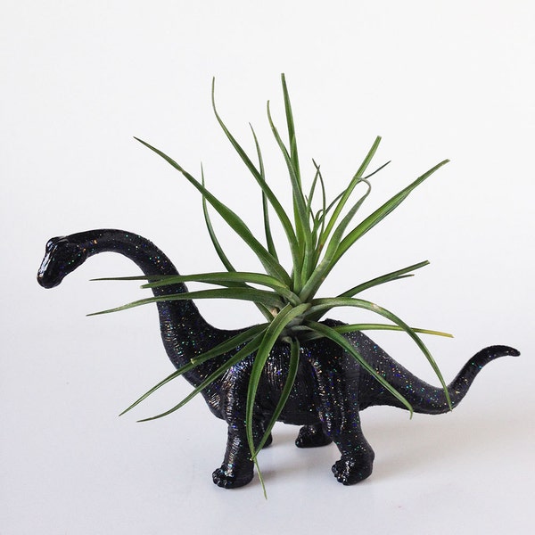 Small Dinosaur Planter with Air Plant Room Decor, College Dorm Geekery, Black Glitter Dino Geekery