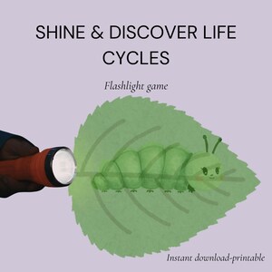 Kids Flashlight Game, Life Cycle Science (Printable, Screen-Free)