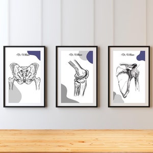 Human Anatomy Art Prints, Medical Art, Orthopedist Wall Art, Chiropractic Poster, Anatomy Poster, Clinic Decor, Printable Anatomy Art Set