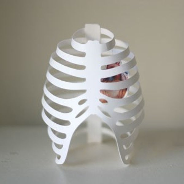 Ribcage with Heart