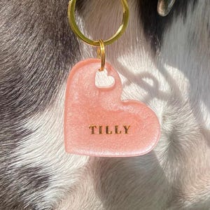 May include: A pink heart-shaped pet tag with the name "TILLY" in gold lettering. The tag is attached to a gold-colored keyring. A small white heart is at the top of the tag. The background shows a dog's fur.