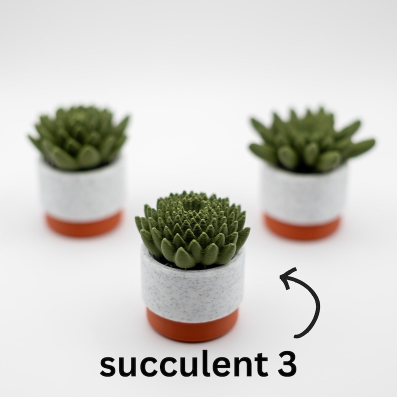 K&ouml;nnte beinhalten: Drei kleine Sukkulenten in T&ouml;pfen mit gr&uuml;nen Bl&auml;ttern und wei&szlig;en und orangefarbenen T&ouml;pfen. Die Sukkulente rechts ist mit "Sukkulent 3" beschriftet.