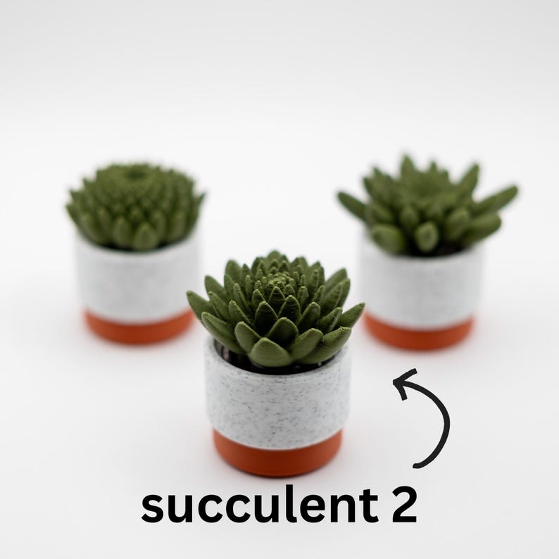 K&ouml;nnte beinhalten: Drei kleine Sukkulenten in T&ouml;pfen mit gr&uuml;nen Bl&auml;ttern und wei&szlig;en und orangefarbenen T&ouml;pfen. Die Sukkulente in der Mitte ist mit "Sukkulent 2" beschriftet.