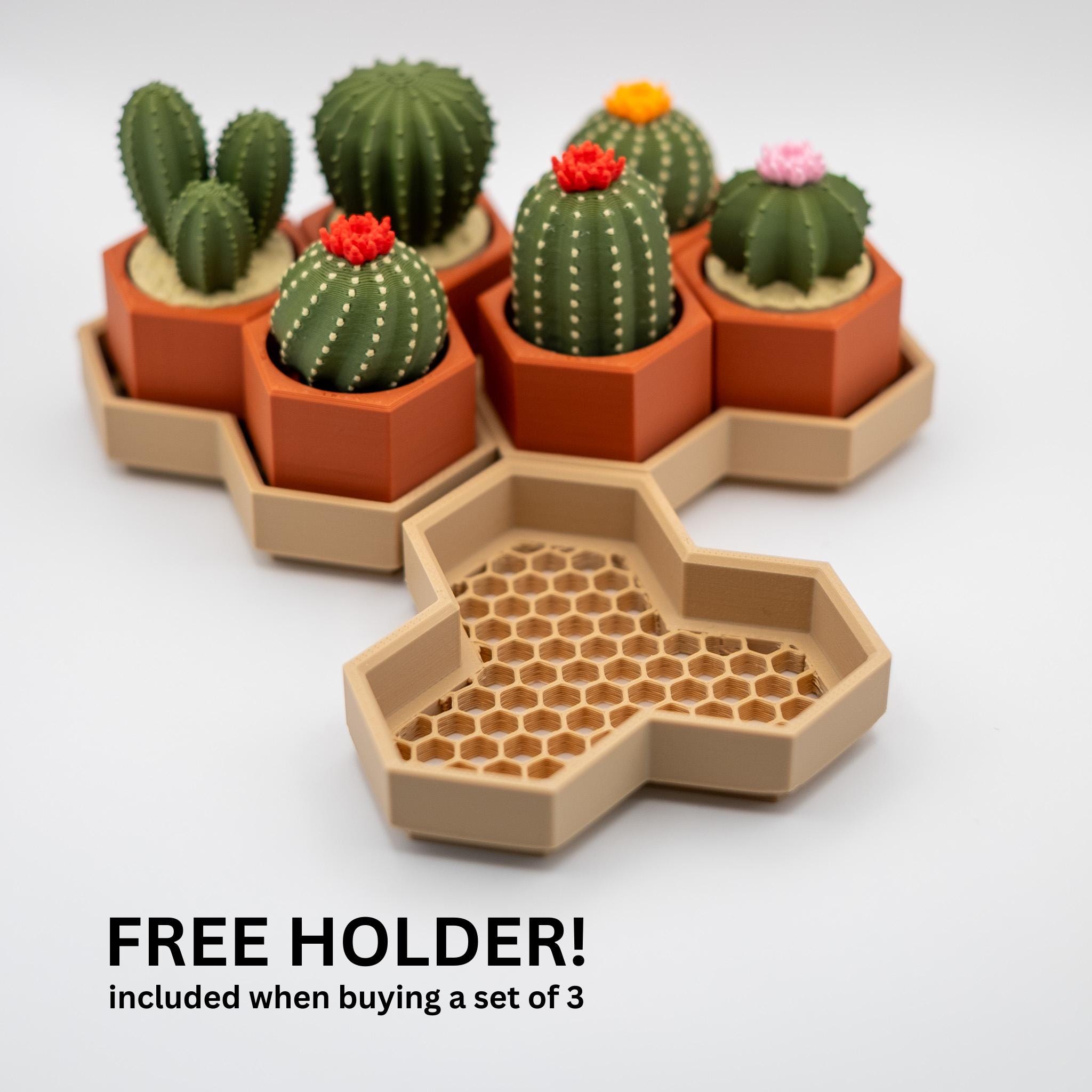 Fidget Cactus Clicker | Mini Clickable Cactus | Stress Relief Desk  Companion | Gift for Plant Lovers - Etsy