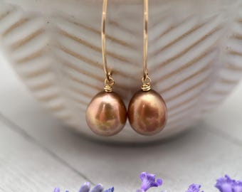Bronze Brown Freshwater Pearl and 14k Yellow Gold Earrings - Copper Brown