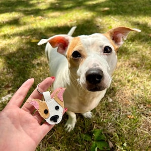 Porte-clés ou breloque de sac personnalisé pour animal de compagnie | Charm minimaliste pour animal de compagnie | Accessoire pour les amoureux des chiens et des chats | Charme commémoratif | Agrafe dorée ou argentée