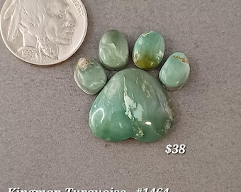 Genuine Kingman  turquoise PuppyToes. Set Of 5. Handmade. Backed, Stabilized. #1464