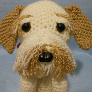 Custom Crochet Dog, Cavachon, Made to Look Like the Owner's Dog, Stuffed Dog, Canine, Pet Memorial, Pet Remembrance, Look Alike, Custom Dog image 3