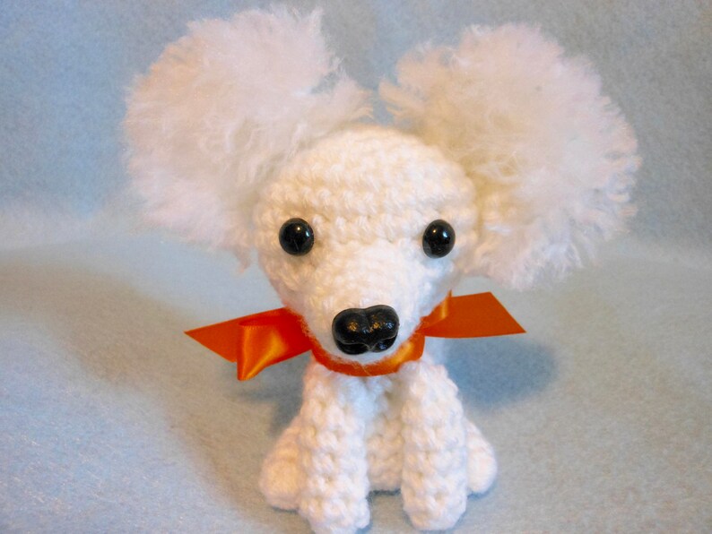 fluffy puppy walking poodle