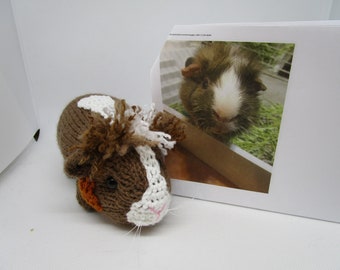 Cobaya tejida a mano a medida, recuerdo para mascotas