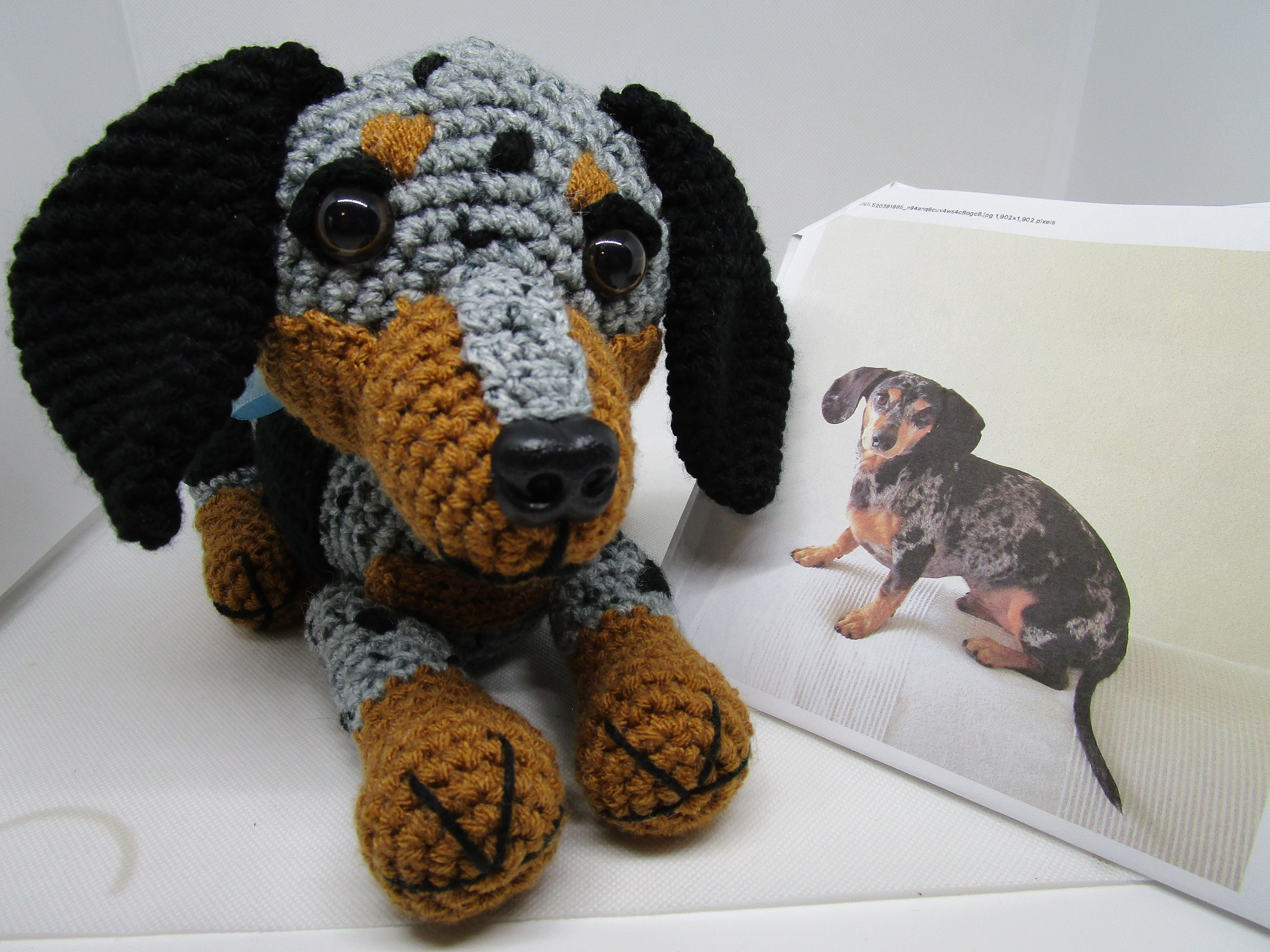 Buy Custom Dapple Dachshund Custom Crochet Dog Dachshund