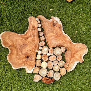 Könnte beinhalten: Zwei unregelmäßig geformte, hellbraune Holzplatten mit einer Ansammlung kleiner, runder Holzstücke dazwischen. Das Holz weist sichtbare Maserung auf und liegt auf einer grünen Grasfläche. Die Anordnung deutet auf ein natürliches, rustikales Thema hin.