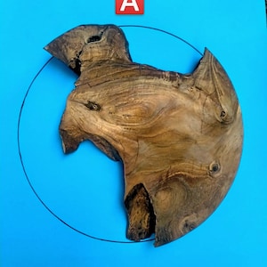Puede incluir: Una pieza de madera con una forma y un patrón de veta únicos, que se asemeja a un pájaro en vuelo. La madera es de color marrón oscuro y tiene un aspecto natural y rústico. La madera se coloca sobre un fondo azul con un círculo dibujado a su alrededor. La letra "A" está escrita en rojo en la parte superior de la imagen.