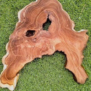 Könnte beinhalten: Eine große, unregelmäßig geformte Holzplatte mit natürlicher Kante. Die Maserung weist wirbelnde Muster in Braun- und Beigetönen auf, mit einem dunklen Loch in der Mitte. Die Platte liegt auf grünem Gras.