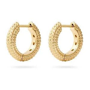 Stay Golden Earrings