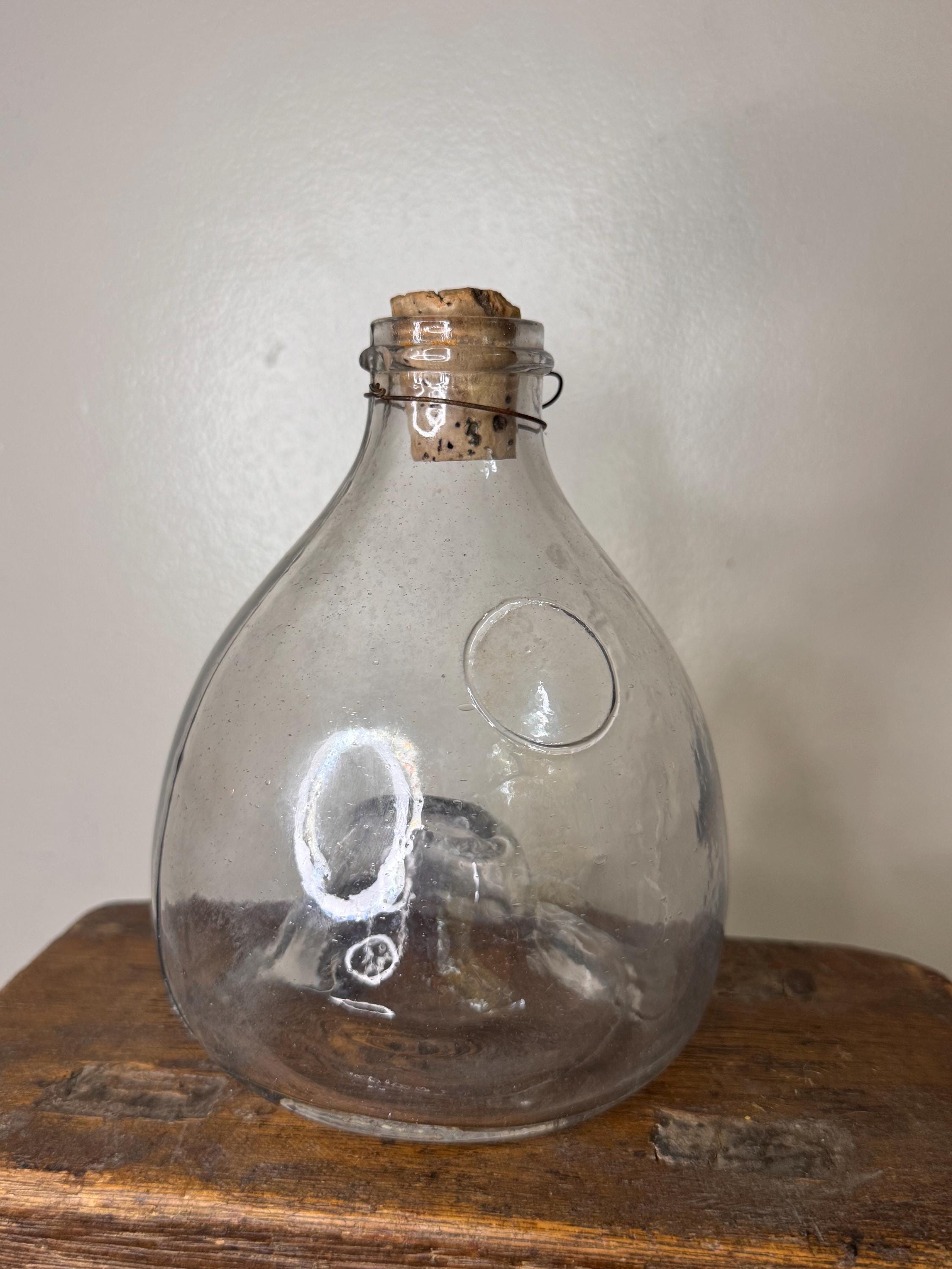 Blown Glass Fly Trap - Etsy