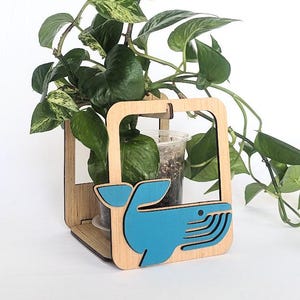 May include: A wooden plant holder with a blue whale design. The holder has a rectangular frame and a base, with a clear plastic pot inside. Lush green leaves of a plant are visible, creating a decorative display.